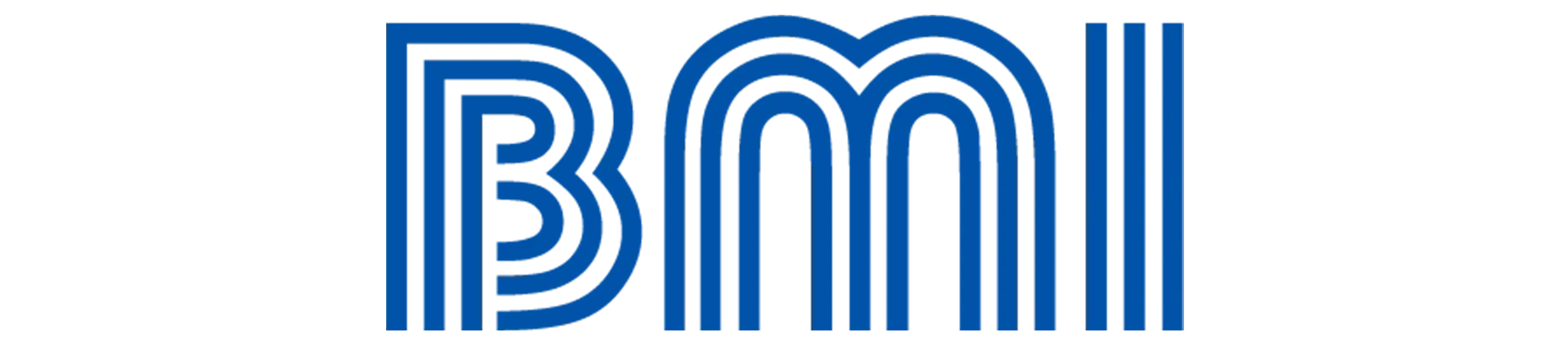 BMI seguros